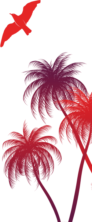 Palme
